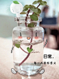 既然无处可逃，不如喜悦。既然没有净土，不如静心。既然没有如愿，不如释然。