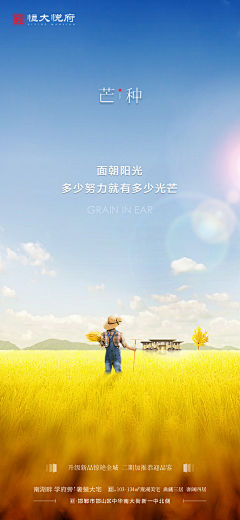 芝士加蛋采集到节气