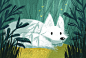White Fox : Illustration of a white fox