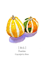 微小的美好——插画师Shine的专访 | 我爱搜罗网