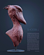 Shoebill (Balaeniceps rex), Zoltan Pogonyi : Digital sculpting allows me to study and understand the forms, shapes and proportions easier and more thorough.
This sculpture started as a practice but eventually, I pushed it a bit further and decided to give