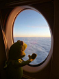 Kermit loves to fly!!