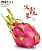 iPad厚涂 火龙果