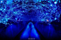 说到东京灯光展，就不得不提“青之洞窟”。诞生于2014年的“青之洞窟”灯光展，即目黑川之后，再次在代代木公园复活，将进行全长750米、为期一个多月的展览。