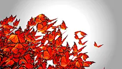 橙色蝴蝶制造的明亮创意灯-Alpha