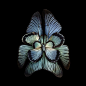 【翅之欲望】系列摄影，摄影师Seb.Janiak利用昆虫翅膀的各种形态拼接出各色花卉和放射状构图作品，让视觉感叹为观止！