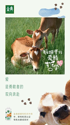 偷花大盗贼采集到简单点 设计的方式简单点
