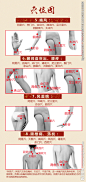 穴位图 展架