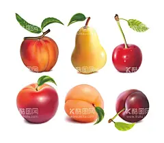 水果  - 源文件下载【酷图网】水果,黄桃,桃子,雪梨,樱桃,苹果,李子,矢量桃子,矢量樱桃,矢量雪梨,矢量苹果,矢量水果,卡通水果,手绘水果,水果插画,水果插图,线条水果,美食,矢量美食,卡通美食,手绘美食,美食插画,美食插图,线条美食,食物,矢量食物,卡通食物,手绘食物,食物插画,线条食物,食物插图,早餐,早餐食物,健康食物
