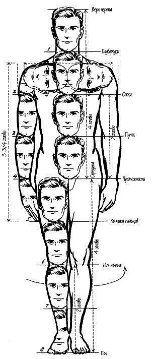 anatomi-model-karaka...