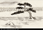 水墨画松树图片图片(编号:136545)_书画文字_文化艺术_图片素材