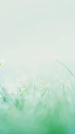 简约清爽手机壁纸