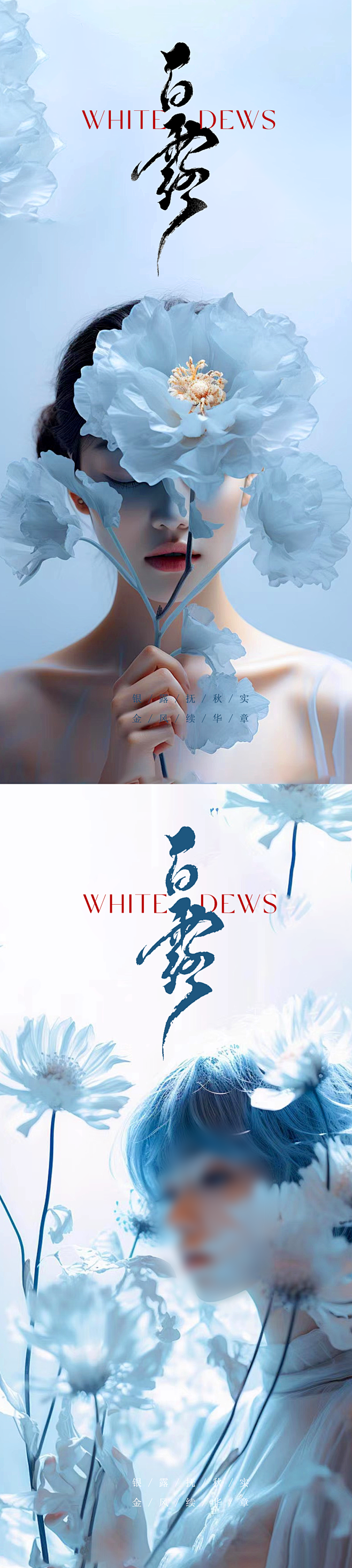 医美白露海报