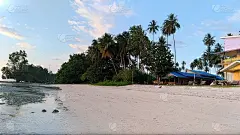 海岸线，椰子树和简单的住所