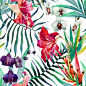“手绘热带植物花卉”的图片搜索结果