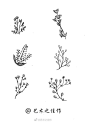 叶子、花花草草系列 #手绘作品#（作者： 艺术之佳作 ） ​ ​​​​