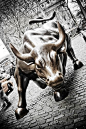 The bull, Wall Street @ New York City, USA