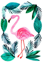 A4 Flamingo Print, on environmentally friendly recycled card. Illustrated by Emily Nelson using mixed mediums including digital art, water colour: 