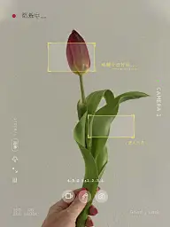 日常生活记录晒花模拟界面风plog模板