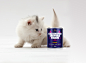 GARTER 宠物奶粉包装-古田路9号-品牌创意/版权保护平台