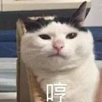 我要买这个表情包 我要买这个你给我买这个猫全套表情包_腾牛个性网