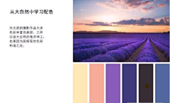东霓丶采集到配色