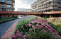 Amstelveen Zonnehuis Care Home Landscape by HOSPER : <p>Zonnehuis养老院花园景观</p>