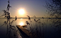Best wallpapers (trending) - Wallhalla : Best, high quality wallpapers for your desktop and mobile.