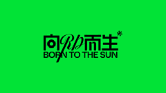 与嫣相伴采集到字体