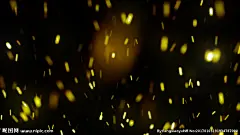 火花火星特效素材