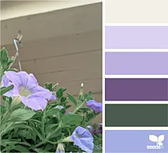 Design Seeds : Design Seeds color palettes ... posted daily for all who love color.