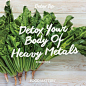 Leafy green vegetables such as bitter gourd, arugula, dandelion greens, spinach, mustard greens, and chicory also contain numerous cleansing compounds that neutralize heavy metals, which can bear heavily on the liver! www.foodmatters.tv