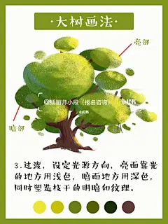 零基础学插画|简单大树画法