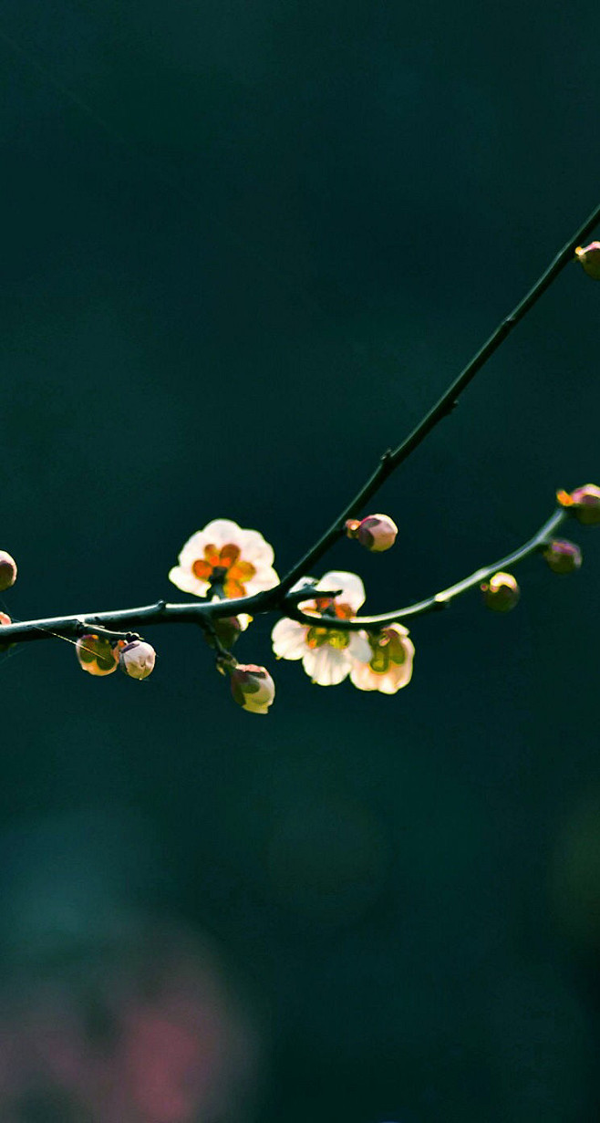 无论什么时候，你都需要给自己一个明确的底...