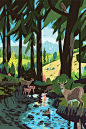 (3) Pinterest