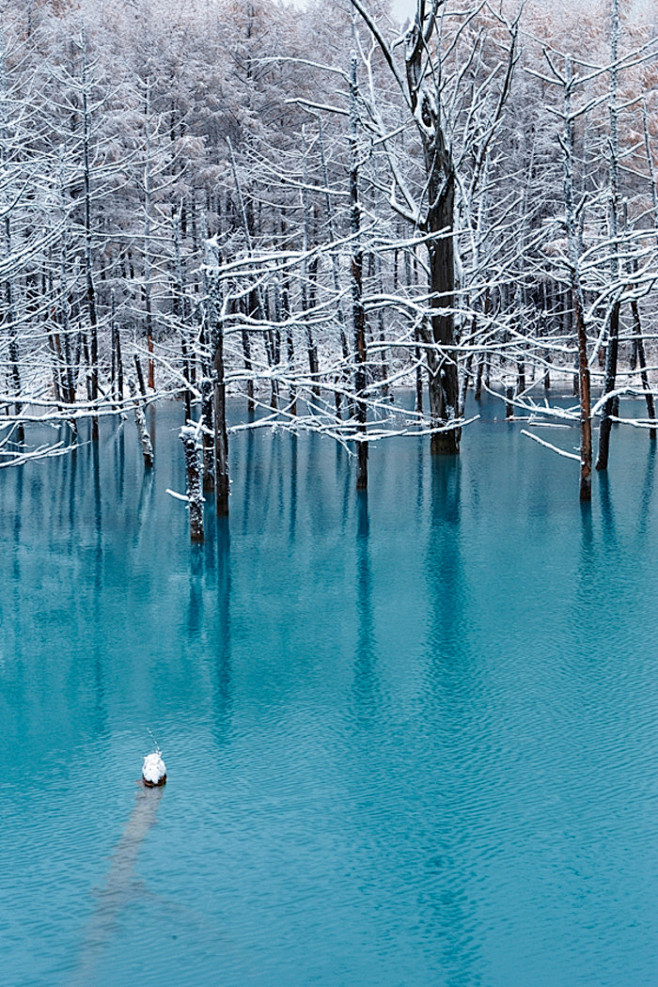 Blue Pond, Biei, Hok...