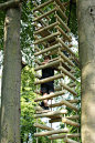 Hanging around in trees on a 4-sided Rope Ladder by Treehouse Life