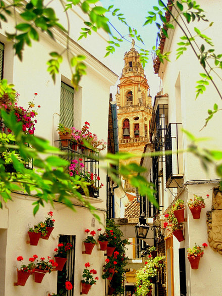 西班牙，科尔多瓦，整个城区是一片花的海洋...