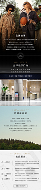 dw手表女 PETITE系列优雅流金表28mm 丹尼尔惠灵顿官方旗舰店-tmall.com天猫