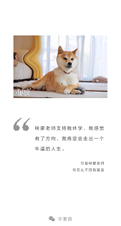 wenfossssss采集到公众号「字套路」