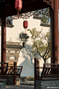 摄影超话#这就是中国风##光影##最美中国画##广富林文化遗址公园# ​​​​