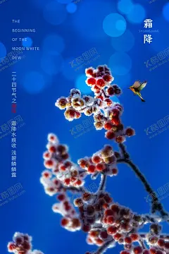 霜降海报 【酷图网】霜降,霜降海报,地产霜降,霜降朋友圈,霜降微信配图,霜降微博配图,霜降手机海报,霜降闪屏,霜降手机屏幕,霜降壁纸,红色霜降,霜降柿子,霜降易拉宝,霜降展板,霜降节气,霜降水牌,24节气,二十四节气,传统节气,立冬,大雪,小雪,冬至,高端地产,房地产节气,地产节气宣传,红色墙壁