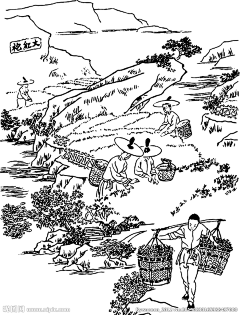 &宜采集到图案