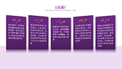 Szozo采集到p-ppt-多项