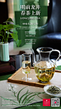 龙井茶#春茶#北京千禧大酒店