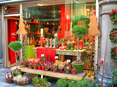 山渏采集到花店
