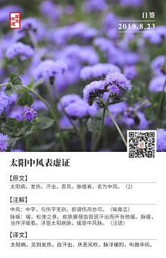 丶胖虎爱设计采集到中医日签图朋友圈海报