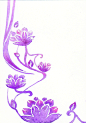 原创莲花。。。妖孽般的紫色哇咔咔！