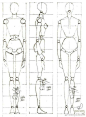 【速写结构】人物速写体块解剖分析图谱 ​​​​