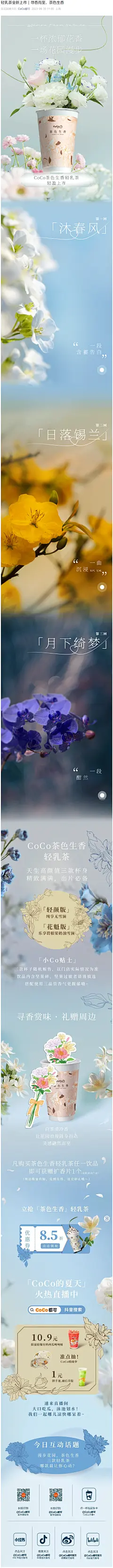 蓝黄紫-coco都可